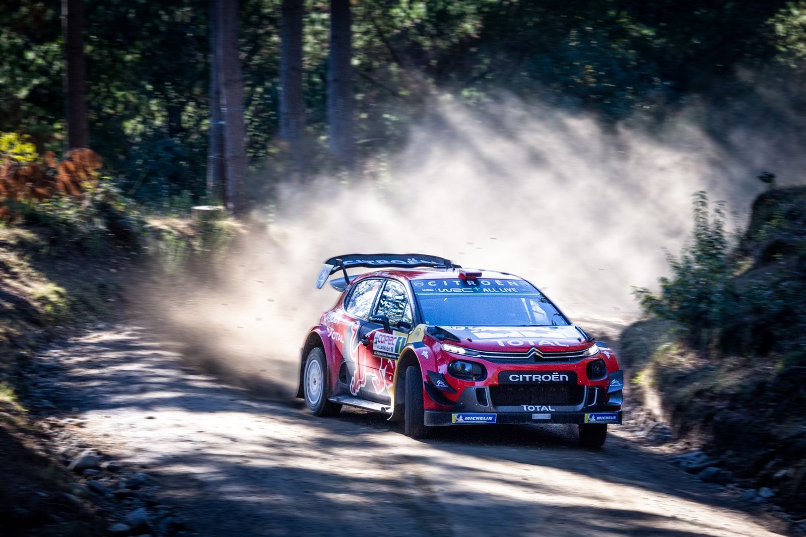 WRC Ford Fiesta mid-air jump with forest sun rays