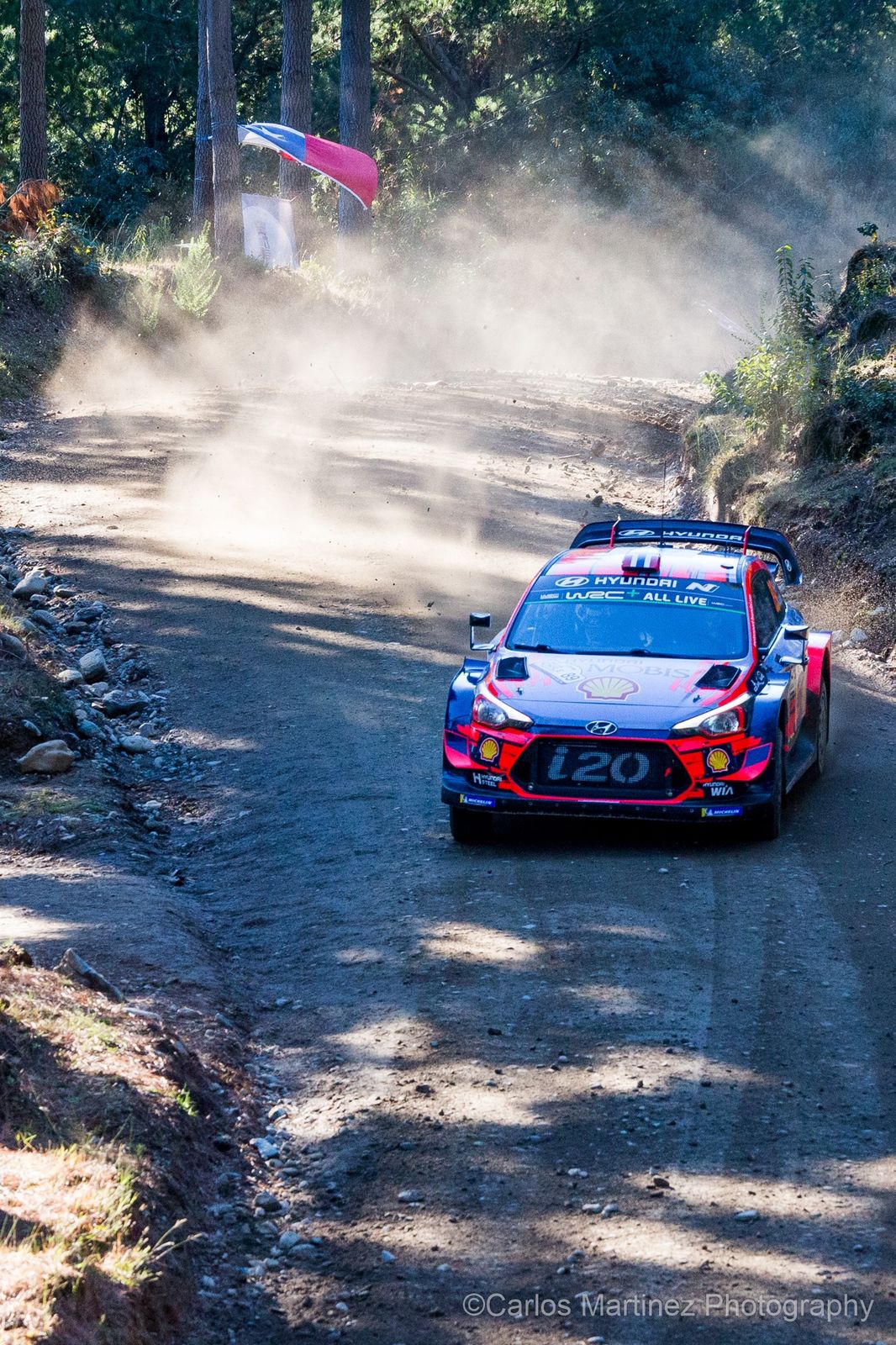 WRC rally car jump - vertical composition